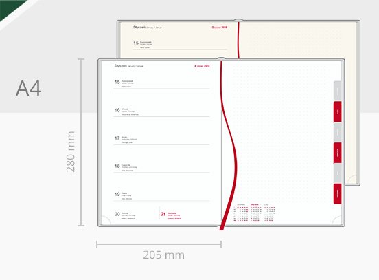 ax kalendarz tygodniowy a4 notatki