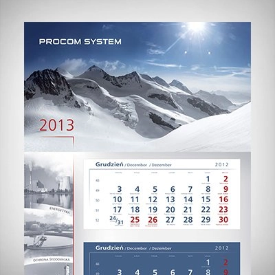 Procom System 2013